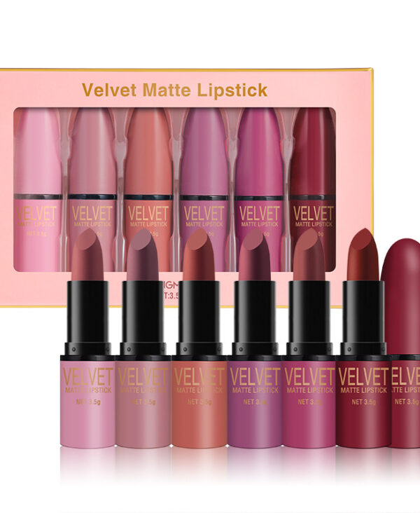 Bullet Matte Lipstick Set Matte Waterproof